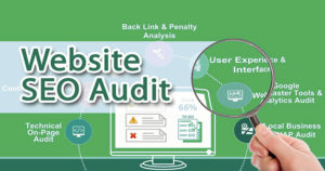 website seo audit